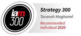IAM 300 Recommended Individual 2023 badge